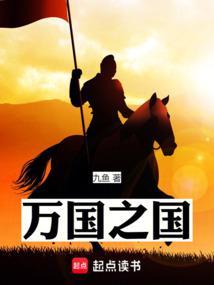 万国之国无错