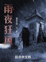 雨夜狂风歌曲原唱视频