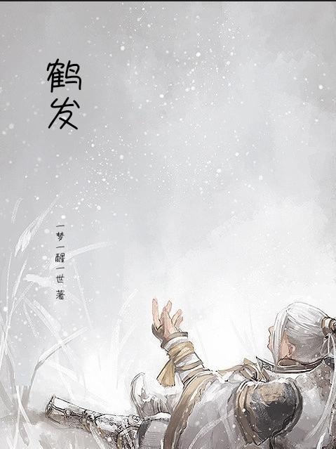 鹤发银丝映日月下一句