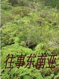 缅北人员情况