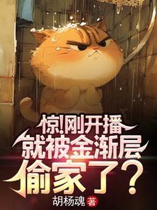 金渐层 cy