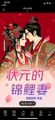 状元家的二嫁妻完结
