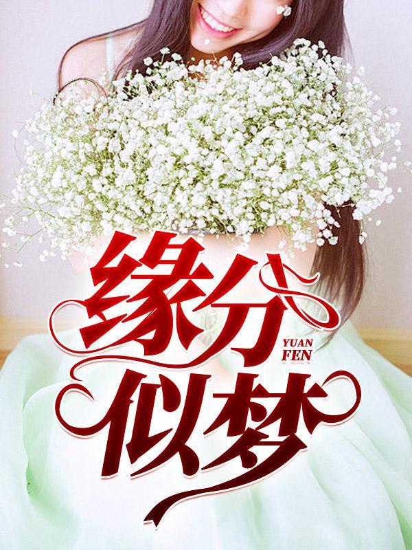 缘分似梦内容
