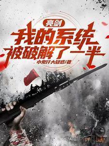 亮剑之爆装系统