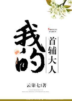 我的首辅大人 言讱讲了什么