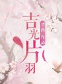 丝光沸石
