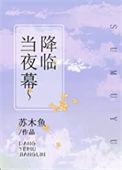 当夜幕降临的时候它像慈母