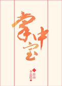 掌中宝pos机是哪个支付公司