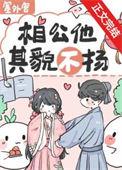 相公负责貌美如花