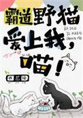 霸道总裁爱上喵