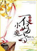 小妾不好当笔趣阁