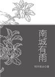 南城有雨全文 简介