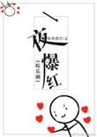 一夜爆红是什么意思