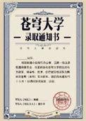 万物风华录番外篇