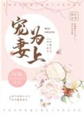 宠妻为上全文