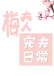 梅夫人宠夫日常txt资源