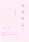 两块石头中一言不发的意思是