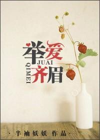 举爱齐眉全文阅读免费