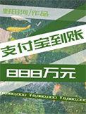 支付宝到账888万元末世24