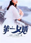第一女婿免费阅读刘飞