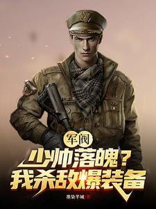 好看的军阀少帅