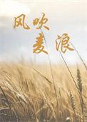 风吹麦浪童声版
