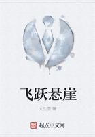飞跃悬崖观后感