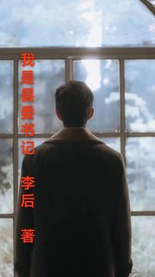 我是县委书记原著结局