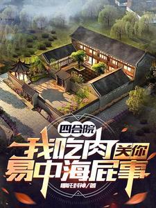 四合院开局我是棒梗