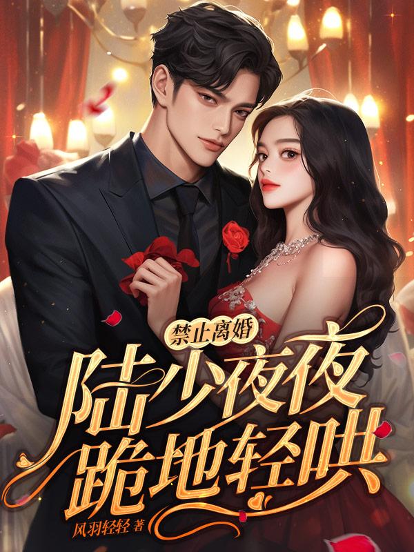 禁止离婚!陆少夜夜跪地轻哄免费