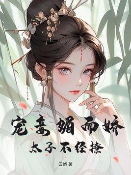 太子宠妾po