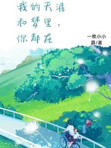 你的天涯歌曲