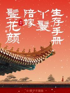 陪嫁丫鬟第二部