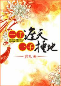 一手遮天一手捶地介绍