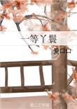 一等丫鬟橙光游戏破解版