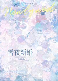 雪夜新婚免费txt