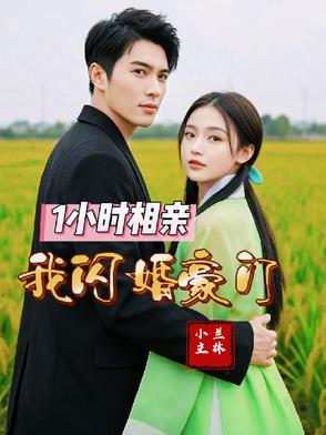 闪婚豪门相亲对象是大佬沈夜