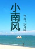 小南风集团