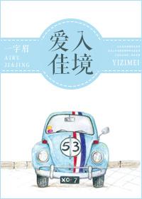 爱入佳境免费阅读